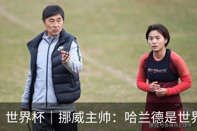 世界杯｜挪威主帅：哈兰德是世界上最好的射手